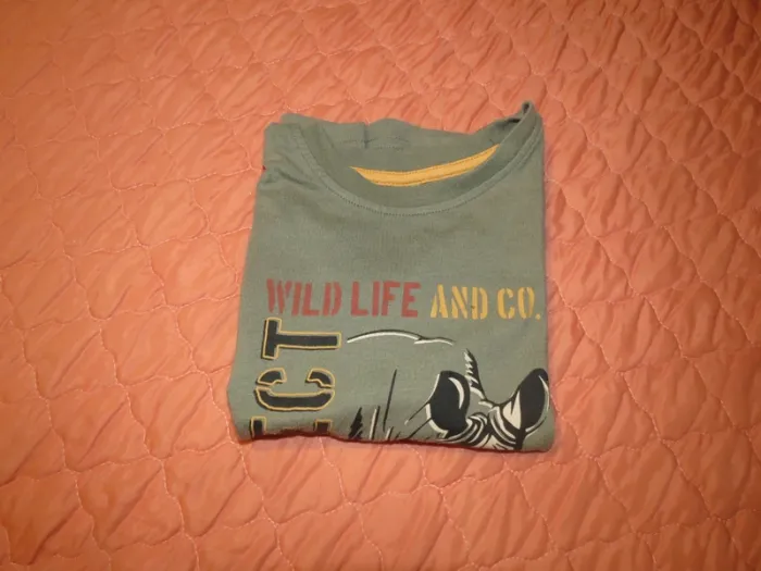 T-shirt taille 3 ans garçon