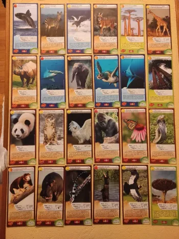 39 Cartes Merveilles du monde