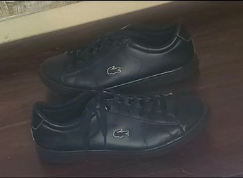 Baskets Lacoste taille 39