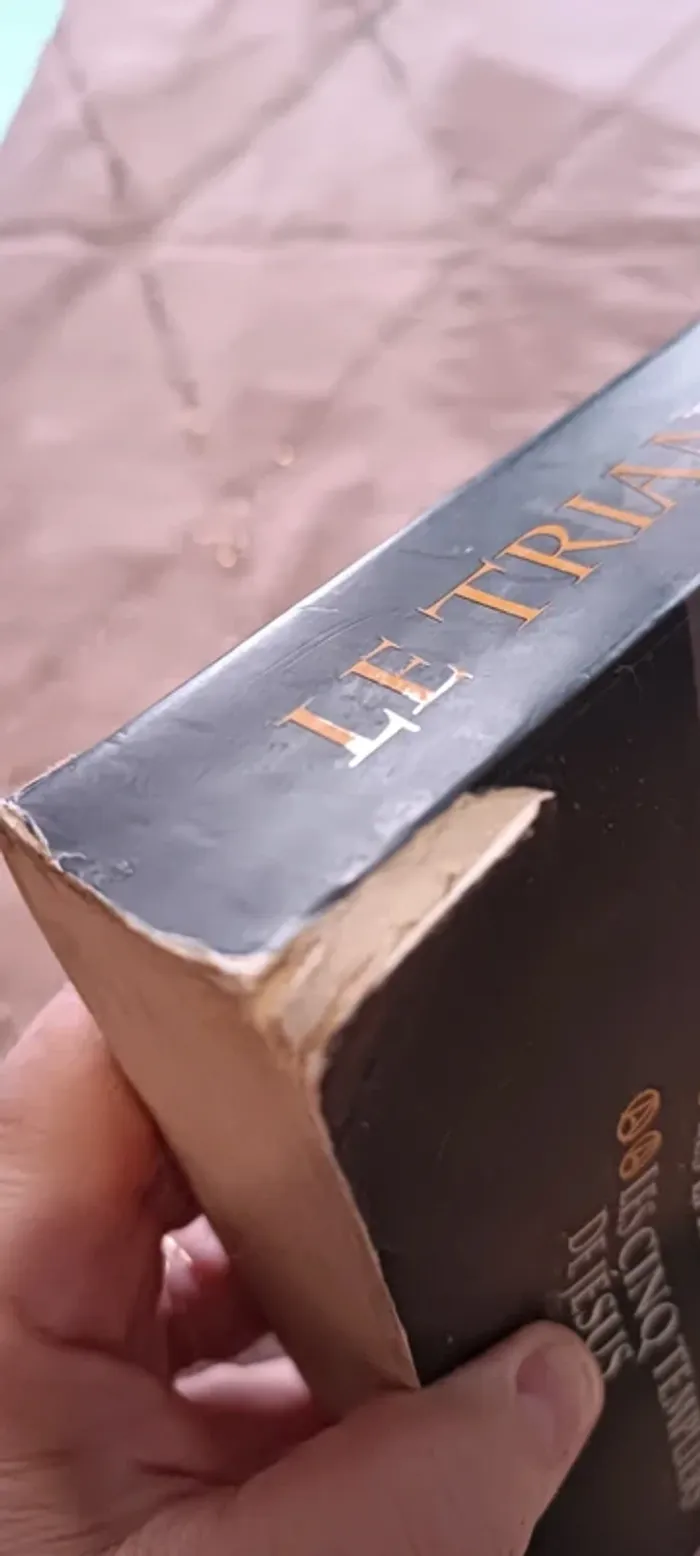 Livre le triangle secret - photo numéro 3