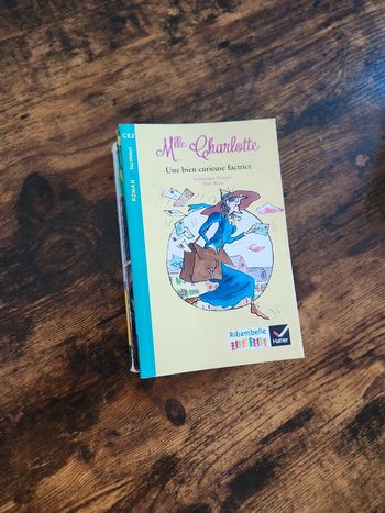 Lot de 4 livre : Voyage au centre de la terre