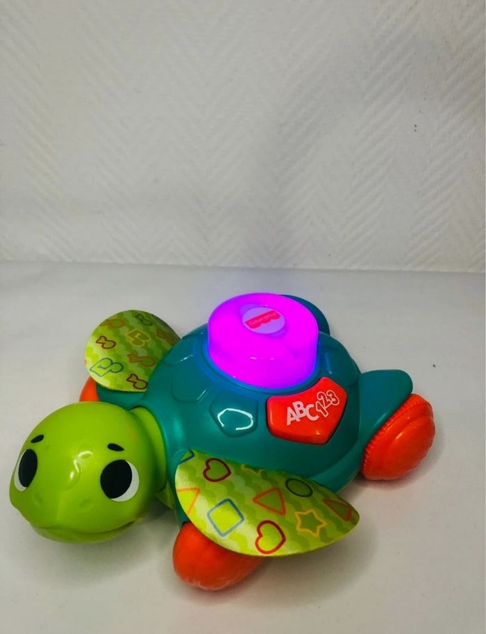 Manu la tortue - photo numéro 4