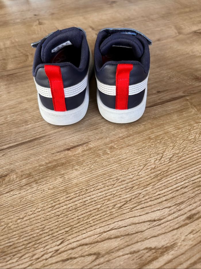Puma - photo numéro 2