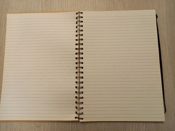 Carnet à spirale lignes - photo numéro 2