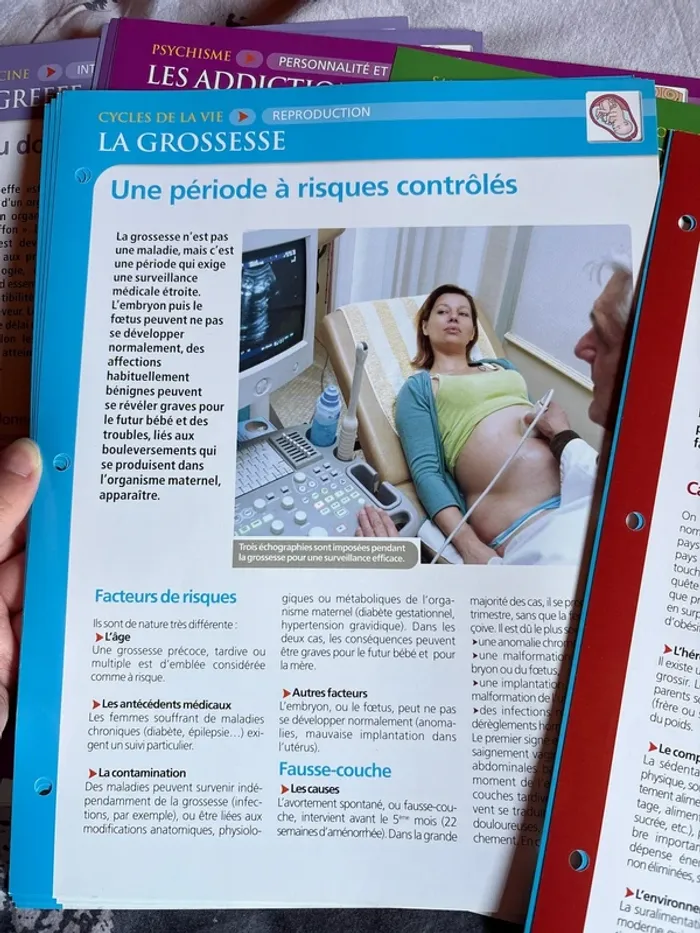 Lots de fiches anatomie physiologie santé - photo numéro 5