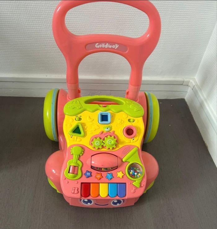 Chariot de marche - photo numéro 2