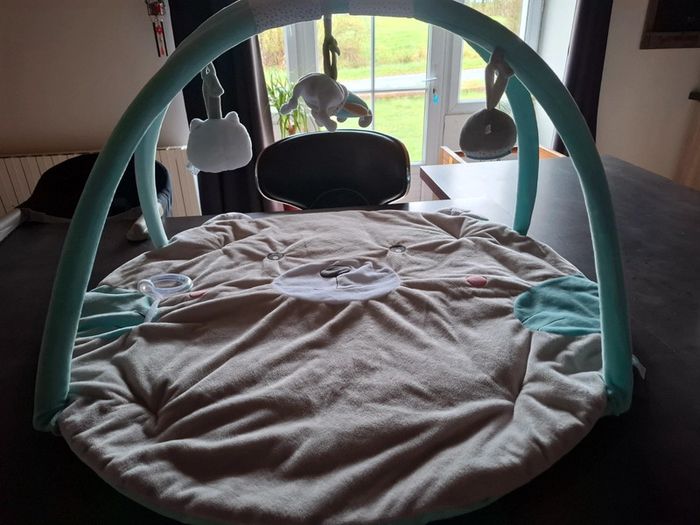 Tapis d’éveil - photo numéro 2