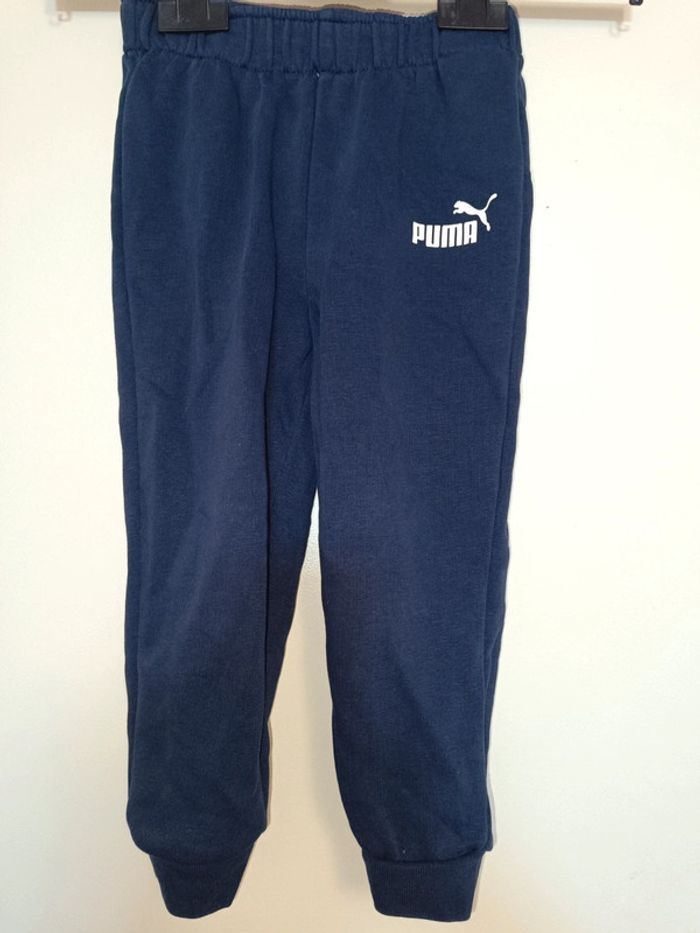 Ensemble puma - photo numéro 3