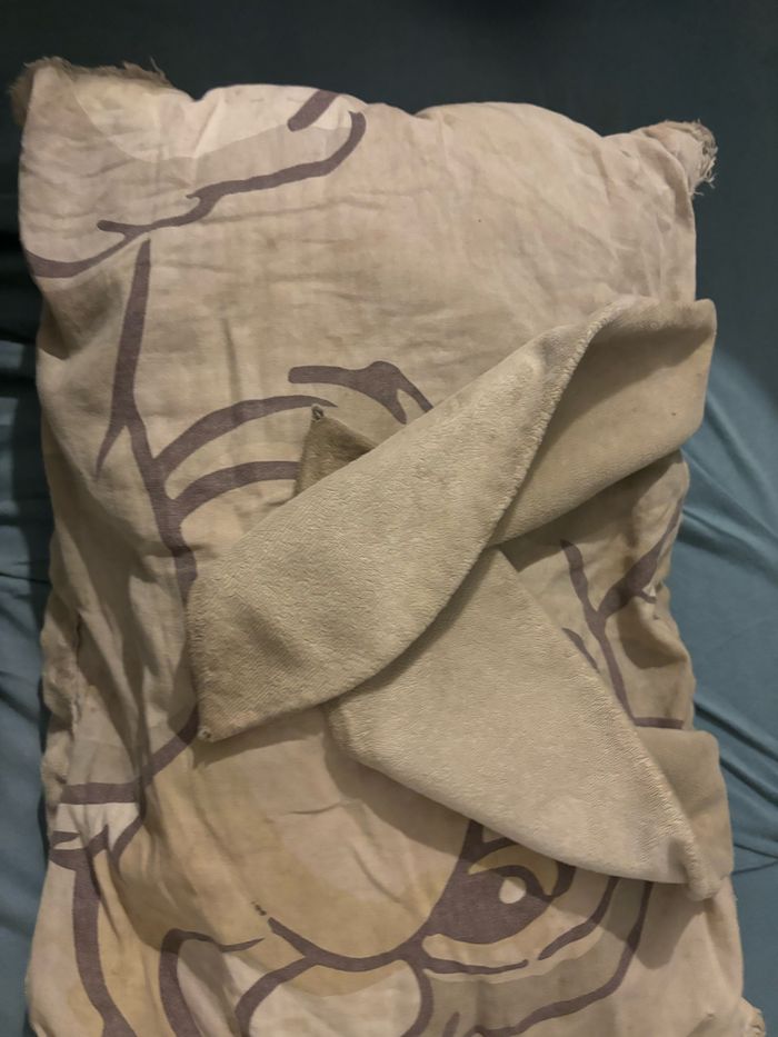 Recherche - photo numéro 3