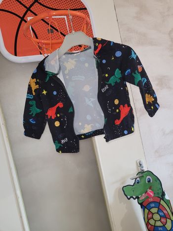 Veste