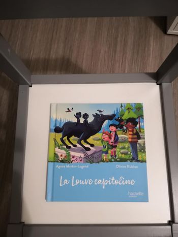 La Louve capitoline Mc Do 2025