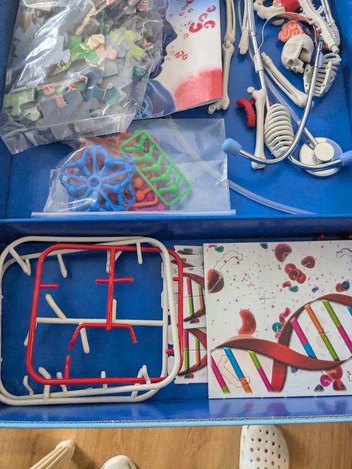 Jeux éducatifs, le corps humain science et jeux. À partir de 9 - photo numéro 4