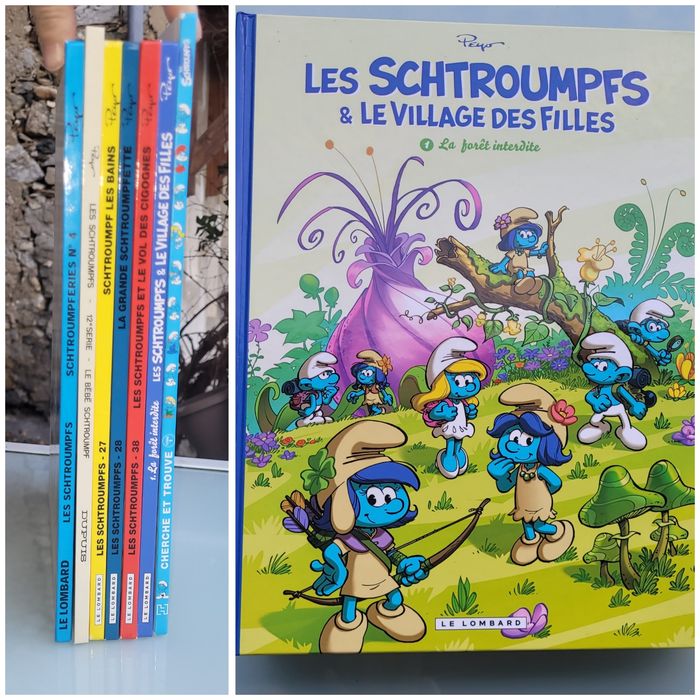 BD Les Schtroumpfs : Les Schtroumpfs et le village des filles