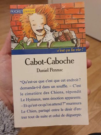 Livre Cabot Caboche
