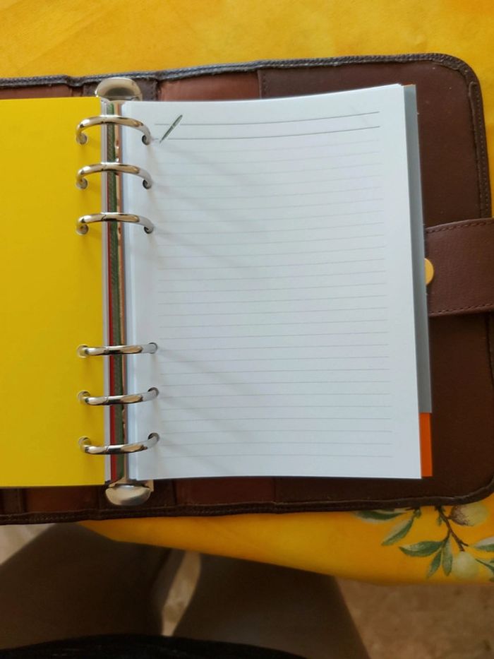 Agenda cuir galeries lafayette - photo numéro 6