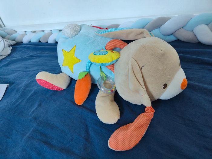 Lapin d'activité Oxybul - photo numéro 2