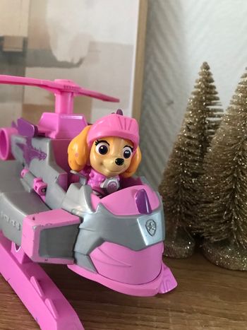 Paw Patrol Sky