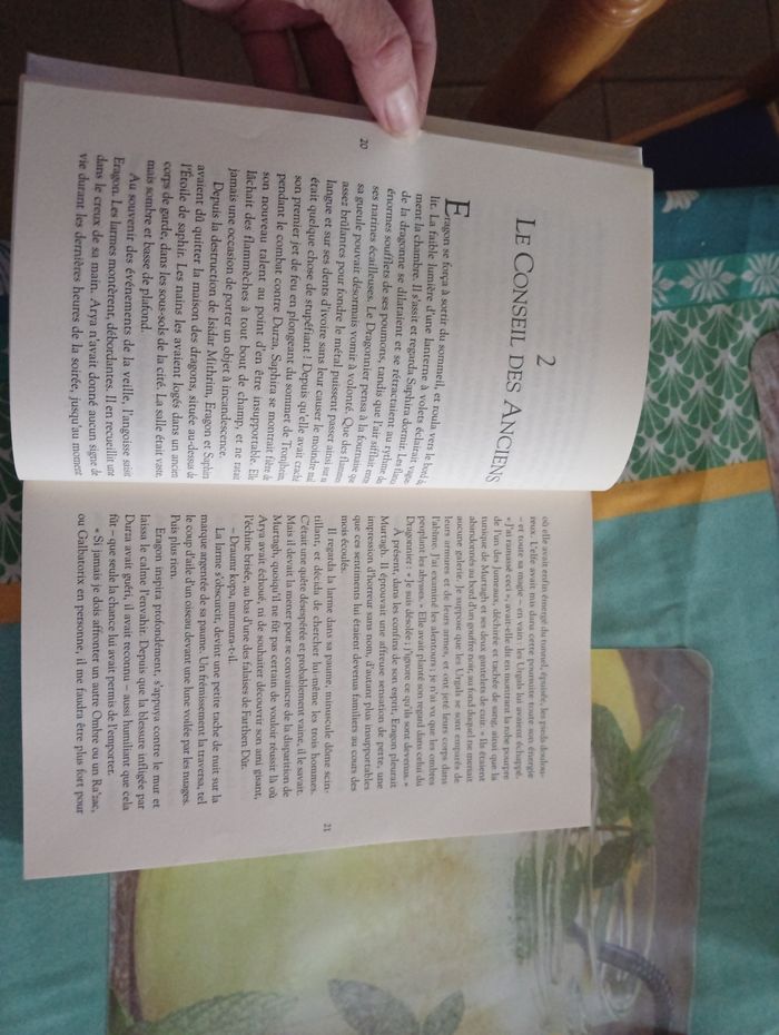 L'AÎNÉ 2 - photo numéro 3