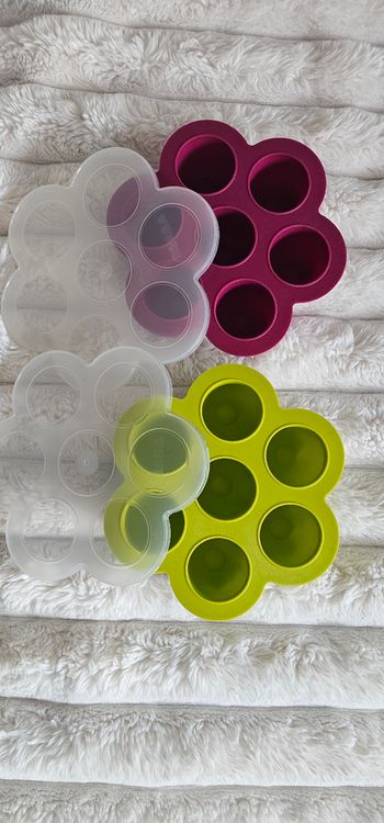 Lot de 2 fleurs 🌸 multiportions BEABA 60ml