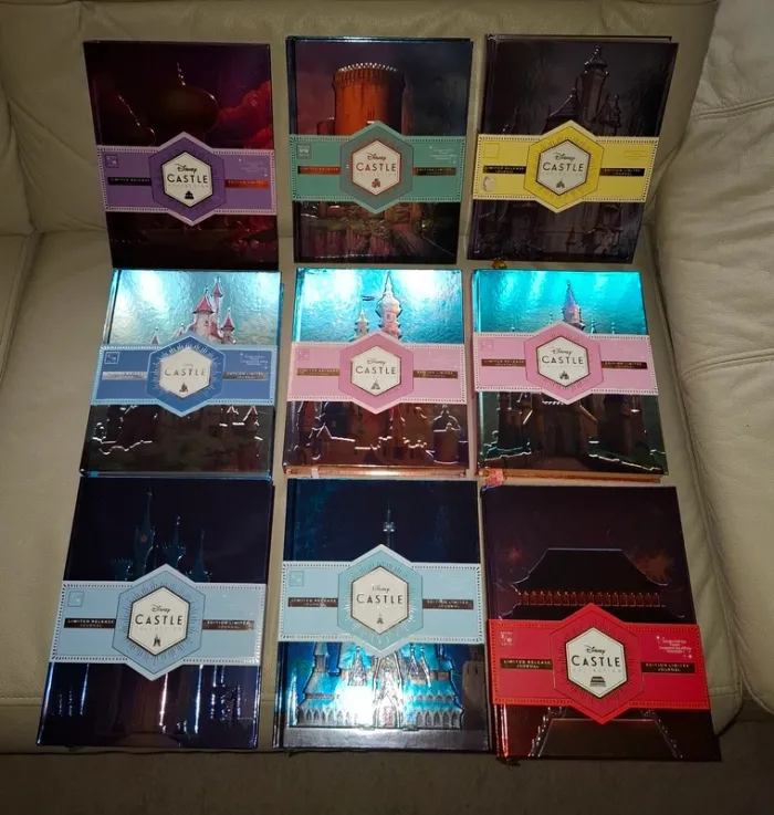 Lot de carnets livres cahiers castle collection disney princesse - photo numéro 10