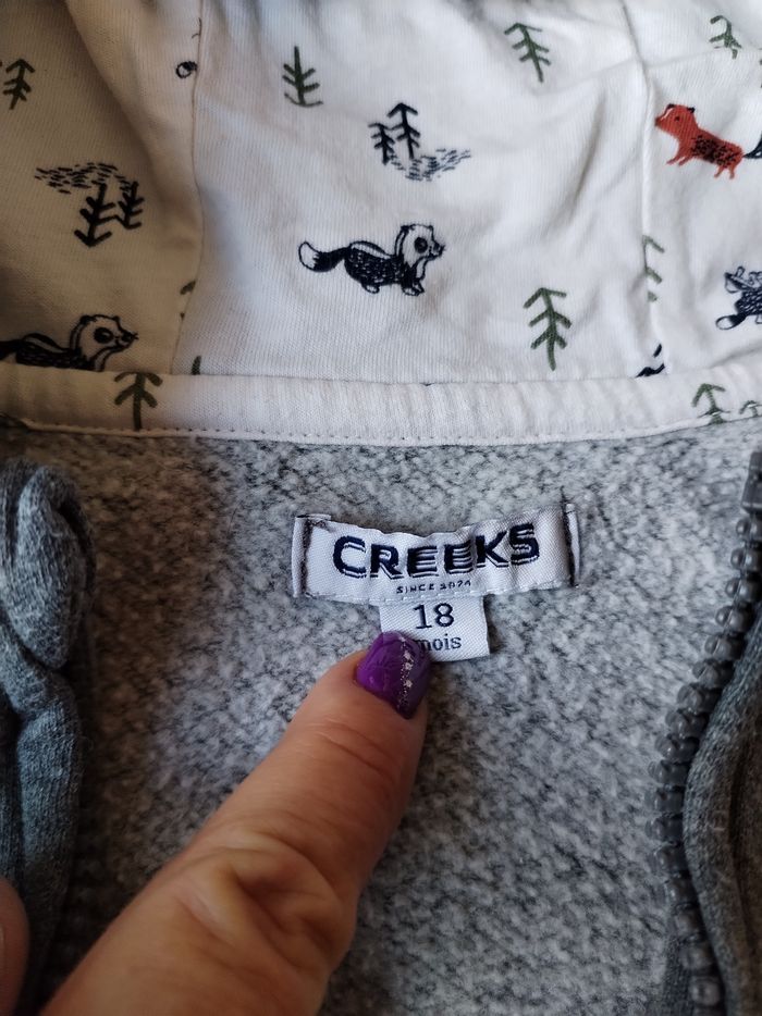 Sweat à capuche Creeks, taille 18 mois - photo numéro 2