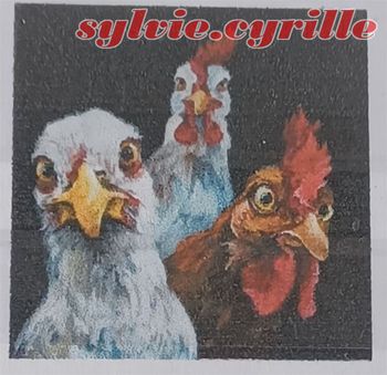 Diamond Painting 40×50 portrait poulets rond