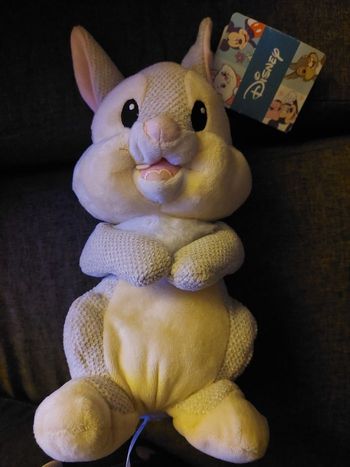 Peluche Disney Panpan 