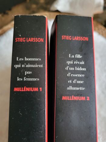 Les hommes qui n aimaient pas les femmes