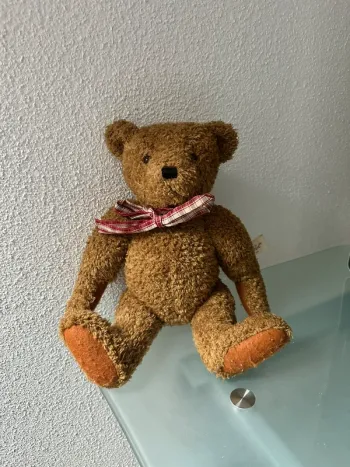Ours Teddy