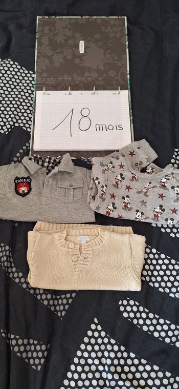 Lot 3 pull hiver taille 18 mois
