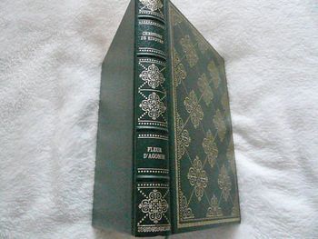 Livre de Christine Dehyvore « Fleur d’agonie »