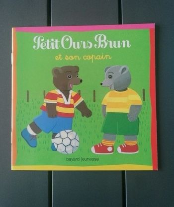 Livre petit ours brun