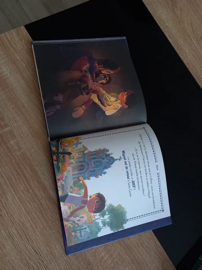 Livre Coco - photo numéro 11