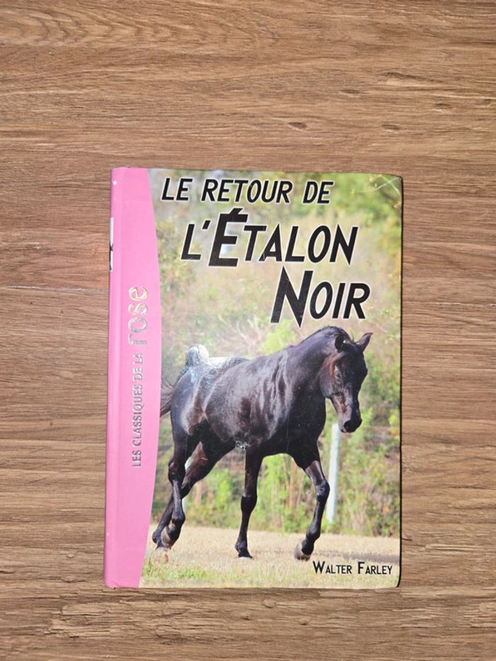 Livre " L'étalon noir"