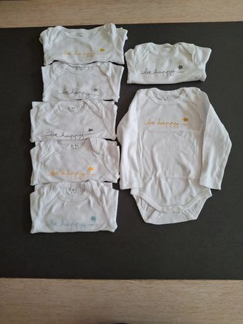 Lot 7 bodies 24 mois