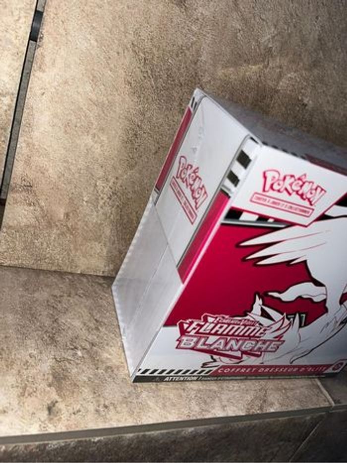 Etb ev 10.5 flamme blanche - photo numéro 6