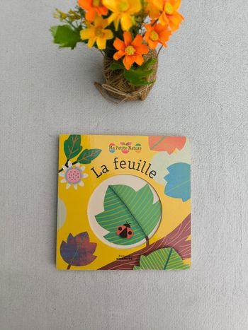 Livre La feuille Amaterra