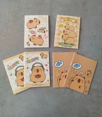 Fourniture scolaire : lot 6 petits cahiers Capybara