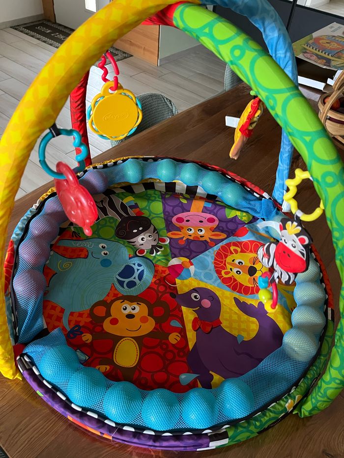 Tapis d’éveil playgro - photo numéro 3