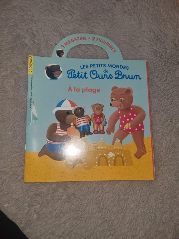 Petit ours brun à la plage
