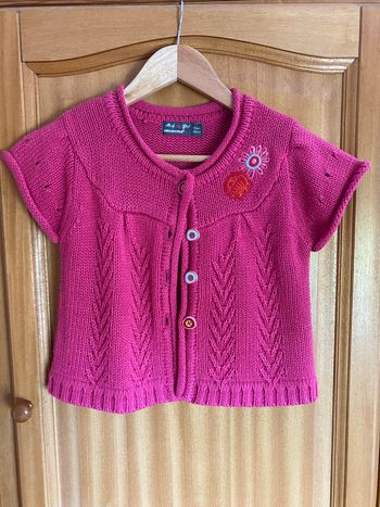 Gilet Rose orchestra