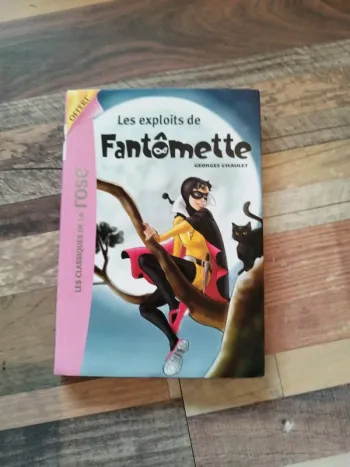 LIVRE "Les exploits de Fantômette"