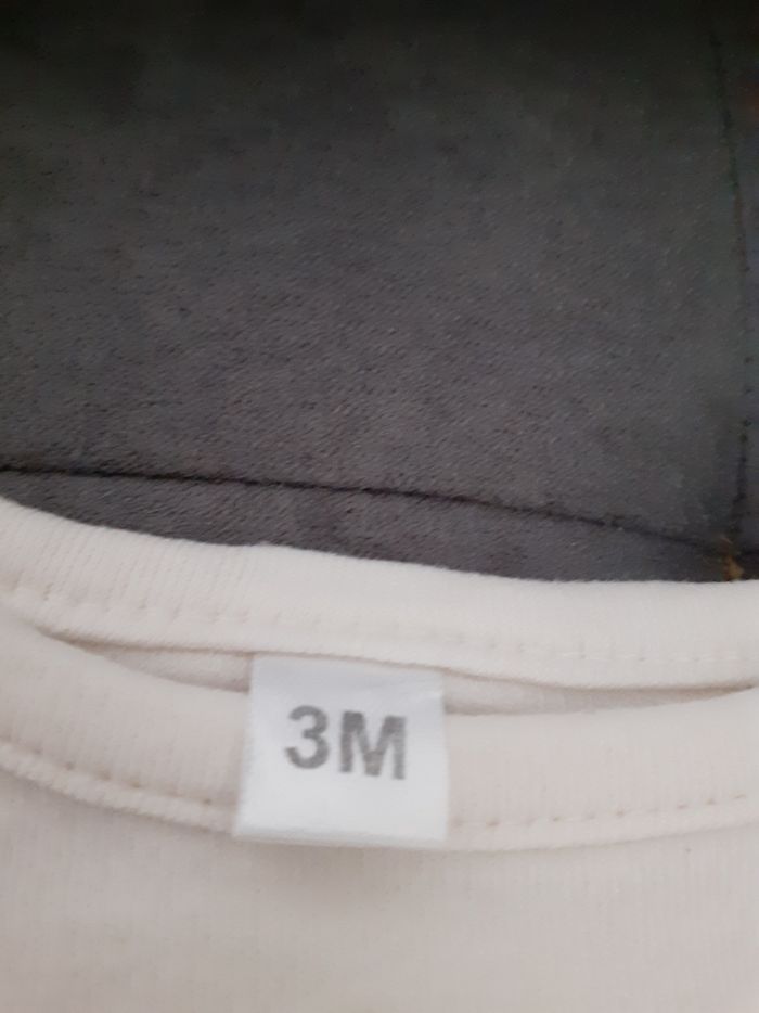 Tee-shirt - photo numéro 2