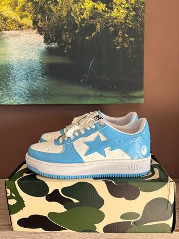 A bathing Ape (Bape)