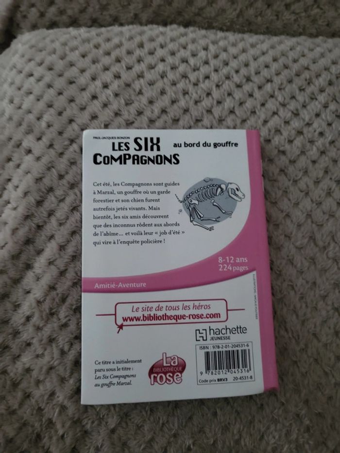 Les six compagnons au bord du gouffre - photo numéro 2