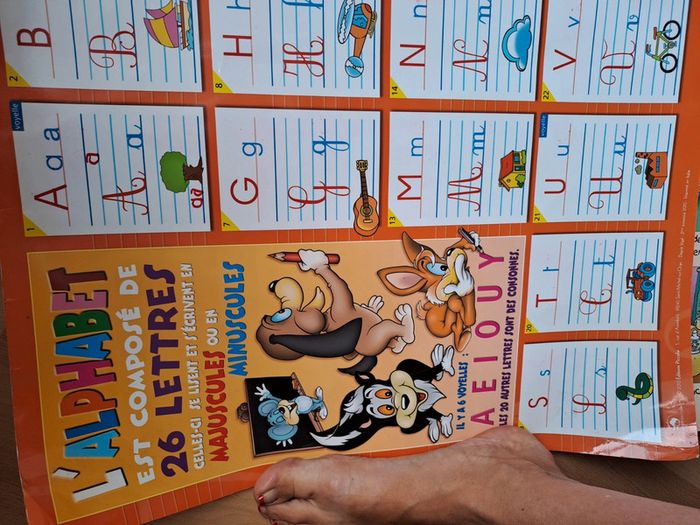 Lot de 3 posters plastifiés pour l'apprentissage #chantecler - photo numéro 3