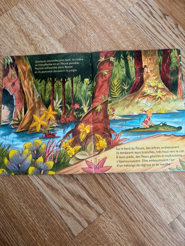 Livres CP - photo numéro 11