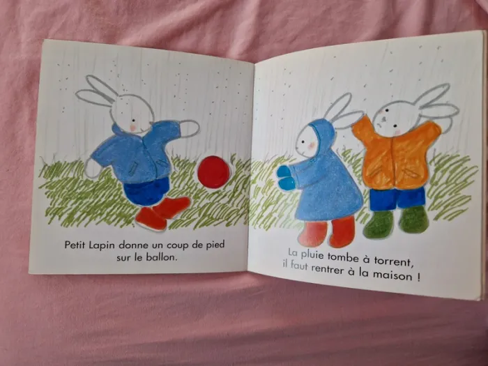 Petit livre enfant Une bonne journée des éditions du sorbier - photo numéro 3