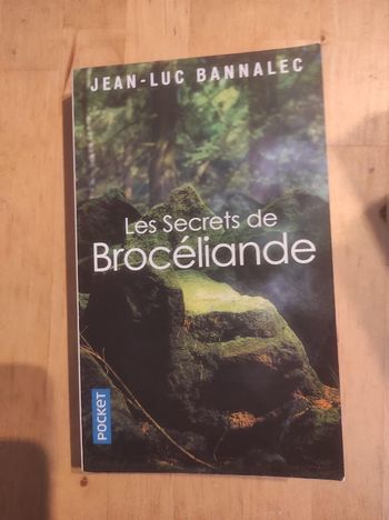 Les secrets de Brocéliande Jean-Luc Bannalec Pocket 2021