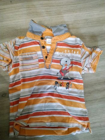 Polo orchestra